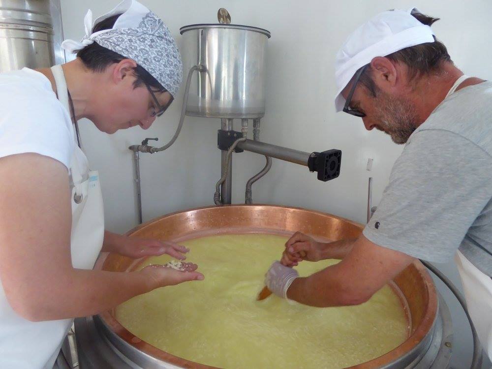 Swiss cheese from a Georgian alp geotv.ge